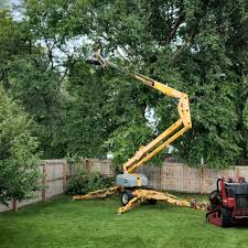 Best Commercial Tree Services  in Glenrock, WY